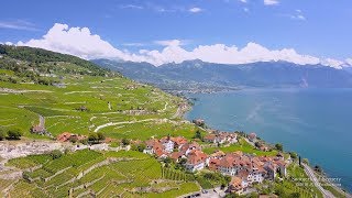 4K Lavaux Lac Léman Vaud SWITZERLAND アルプス山脈 [upl. by Aieka]