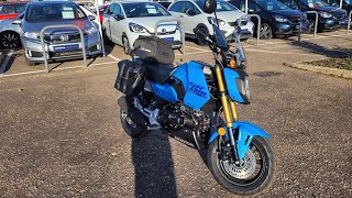 2025 HONDA GROM MSX125  CANDY VICTORY BLUE [upl. by Lianna]