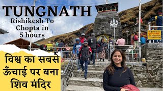 Chopta Tungnath Trek  Chopta Tour  Rishikesh to Chopta Tungnath Temple  Highest Shiva Temple [upl. by Naamann]