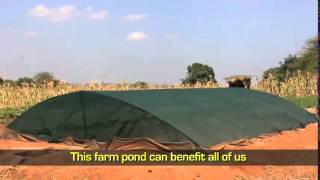 The Farm Pond USAID Brings Rainwater Harvesting to Makueni County [upl. by Yendis]