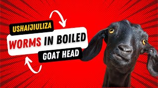 WHY WORMS ARE IN BOILED GOAT HEAD  USHAIJIULIZA  KENYAN🇰🇪 [upl. by Wun485]