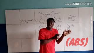 INTRODUCTION TO BENZENE CHEMISTRY [upl. by Ellenor]