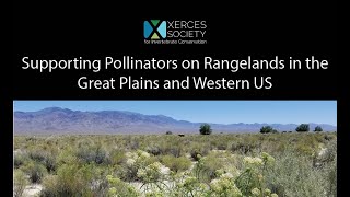 Supporting Pollinators on Rangelands in the Great Plains and Western US [upl. by Bevers637]