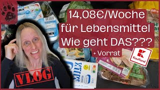 SPAREN extrem günstiger XL Wocheneinkauf 1408€ 😱 PFAND foodhaul budgetplanung vlog minimalist [upl. by Nixon]