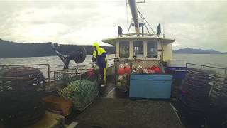 Crayfishing West coast Tasmania [upl. by Scheider381]