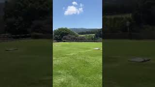 ZIMBABWE’s Finest at NYANGA Troutbeck Resort nyanga viralvideo trending naturalwonder woods [upl. by Enivid]