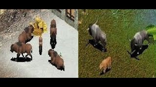 LongHorned Bison and Steppe Bison Zoo Tycoon Download Showcase [upl. by Thorr]