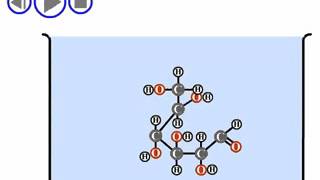 Cyclization of glucose [upl. by Yerhpmuh]