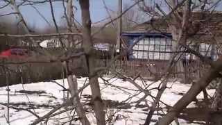 Taierea pomilor fructiferi season 1 cutting fruit trees [upl. by Adelheid]