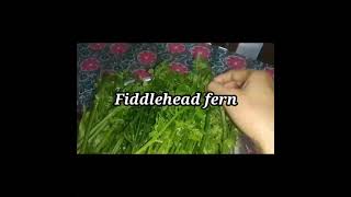 Fiddlehead fern with cheery tomato dhekia xaak bhaji recipe shortvideo [upl. by Berkly]