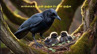 பழமொழி  காக்கைக்கு தன் குஞ்சு பொன் குஞ்சு பழமொழி proverbs  Tamil proverbs  தமிழ் பழமொழி story [upl. by Kra]