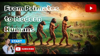 Journey of Human Evolution From Primates to Modern Humans [upl. by Drhacir]