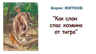 Борис Житков quotКак слон спас хозяина от тиграquot  Рассказы о животных  Слушать [upl. by Ydieh]