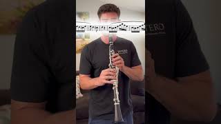 Czardas clarinettist clarinet clarinetplayer music clarinetist orchestra clarinetquartet [upl. by Nelag]