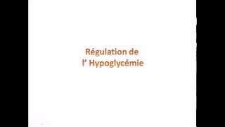 Régulation de lhypoglycémie [upl. by Yot]