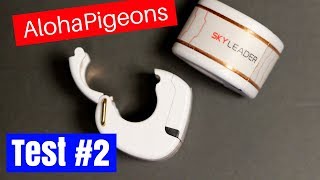 2nd SKYLEADER GPS Homing Racing Pigeon Test [upl. by Alul]