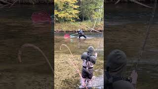 Catching King Salmon fishing freshwaterfish kingsalmon salmonrun salmon michigan fish [upl. by Mastat]