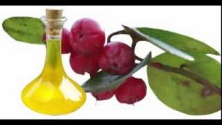 Wintergreen Oil Benefits [upl. by Moria]