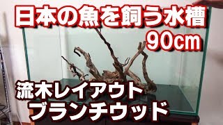 日本淡水魚水槽90cm立ち上げ前夜 流木レイアウト【日淡90水槽1】 [upl. by Erdrich]