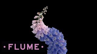 Flume  Take a Chance feat Little Dragon [upl. by Anev]