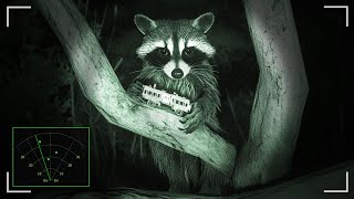 생태공원에서 라쿤들의 사진을 찍는 공포게임 Raccoon on a boat [upl. by Aruat]