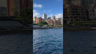 Kirribilli lookout🇦🇺trending ytshorts ytshortsindia youtuber youtubeshort viral video al [upl. by Benni112]