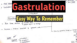 Gastrulation Embryology  Very Easy Way to Remember [upl. by Nnyletak]