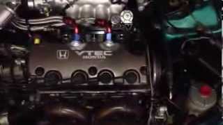 450WHP D16z6 Fully Built Idle Stage 2 Crower Cam [upl. by Eadahc]