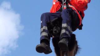 Feuerwehr Höhenrettung  Höhenretter Feuerwehr Essen Tag der offenen Tür [upl. by Yadnus195]