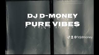 Pure Vibes Episode 8 DJ DMoneyBest DJ Mix 2024Good VibesSoul MixHipHopRampBRapChill Mix [upl. by Nylarej771]