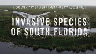 Invasive Species of South Florida  Documentary  AAHSFF 2020 Official Selection [upl. by Anirdua128]