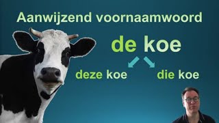 Les 13 Lidwoorden en aanwijzend voornaamwoorden learndutch nederlandsleren nt2 [upl. by Ahsiuqet]