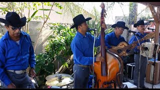 Enigma Norteño  Leña De Pirul Con Tololoche y Tuba 2014 [upl. by Koenraad821]