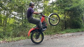 Wheelie amp rearhop training HONDA TLR200 [upl. by Leryt]