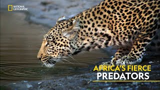 Africa’s Fierce Predators  Africas Deadliest  हिंदी  Full Episode  S2  E3  Nat Geo [upl. by Pascasia]