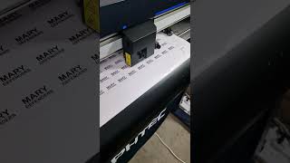 graphtec plotter stickers printing printingservice roland transparent decals [upl. by Geralda953]