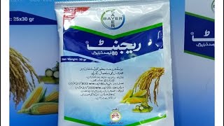 Best termite and borers controller  Regent Bayer  Fipronil insecticide Usages  Kissan Ghar [upl. by Aihseya]