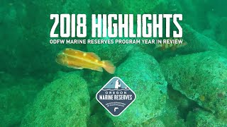 2018 ODFW Marine Reserves Highlights [upl. by Boyd]