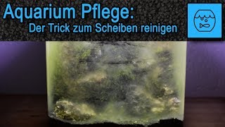 Günstiger Trick zum Aquarium Scheiben reinigen  Tipps und Tricks zur Aquariumpflege [upl. by Ynagoham944]