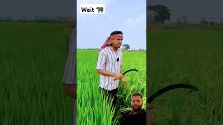 Finish My All Rice ❤️💥🐃 love trending ytshorts jadugur funnyshorts yt funny shortvideo [upl. by Campos]