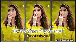 गोरे गोरे देहिया में हरदी घसेतो  Aashishyadav New Magahi Song  Slowed And Reverb  ashishyadav [upl. by Icken]