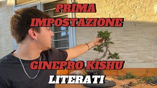 Prima impostazione ginepro kishu [upl. by Froh]