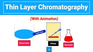 Thin Layer Chromatography  Animation [upl. by Wilde]