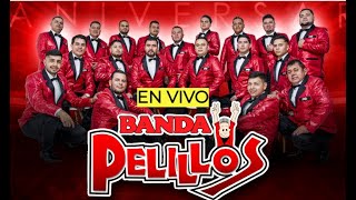 Banda Pelillos EN VIVO [upl. by Nyrak574]