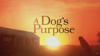 A Dogs Purpose 2017  Soundtrack  fan made [upl. by Lanuk]