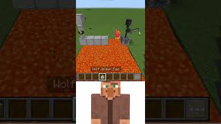 Minecraft villagers oi oi oi mame 💀 shorts minecraft gaming [upl. by Lectra]