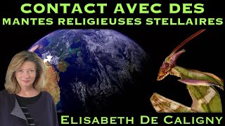 « Contact avec des Mantes Religieuses Stellaires » avec Elisabeth de Caligny [upl. by Eiclek]