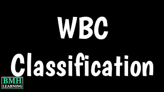 Classification Of WBCs  Types Of WBCs  White Blood Cells  Leukocytes  Function Of WBCs [upl. by Gunther]