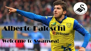 ALBERTO PALOSCHI  20152016 [upl. by Edin]