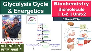 Glycolysis Cycle amp Energetics  L2 Unit2 Biochemistry [upl. by Lillie]